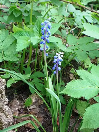 alternativní popis obrázku chybí