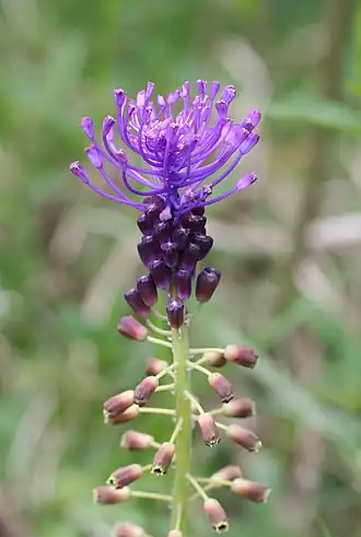 alternativní popis obrázku chybí