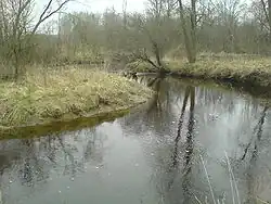 Musė v okrese Širvintos