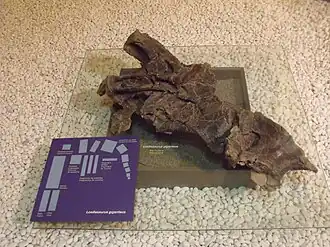 alternativní popis obrázku chybí