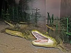 alternativní popis obrázku chybí