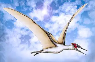 alternativní popis obrázku chybí