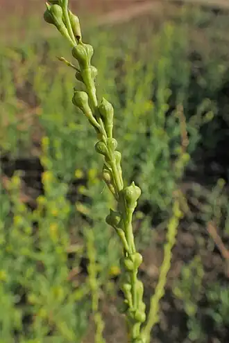 popis obrázku chybí