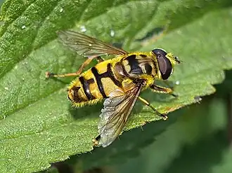 alternativní popis obrázku chybí