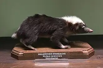 alternativní popis obrázku chybí