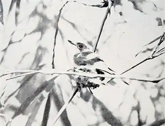 alternativní popis obrázku chybí