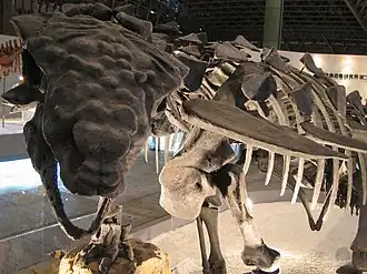 alternativní popis obrázku chybí