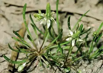 alternativní popis obrázku chybí