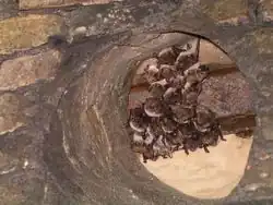 alternativní popis obrázku chybí