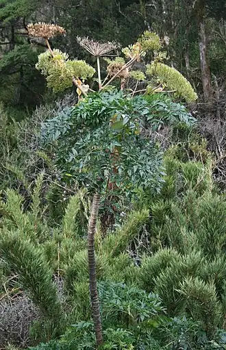 alternativní popis obrázku chybí