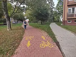 Cyklostezka vedoucí parkem