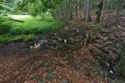 Rašeliniště Hypkaňa