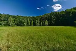 Národní přírodní rezervace Postávka