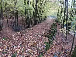 Zbytek železničního náspu poblíž Píně