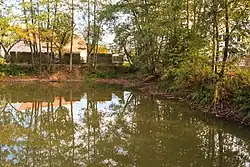 Návesní rybník v Osicích