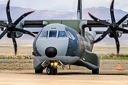 Návrat divokých koní 2013