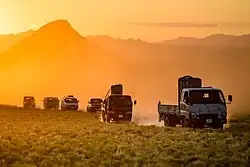 Návrat divokých koní 2013