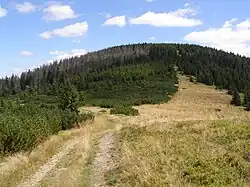 Andrejcová od západu