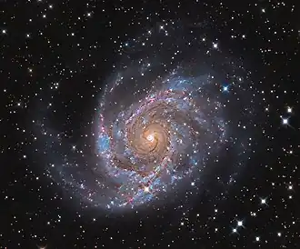 Amatérský snímek galaxie NGC 2997 (autor: Adam Block)