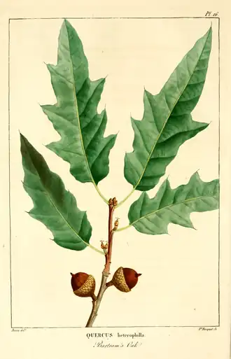 alternativní popis obrázku chybí