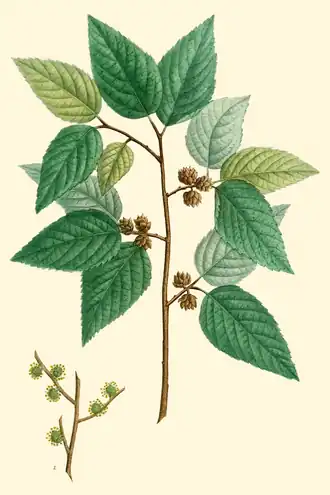 alternativní popis obrázku chybí