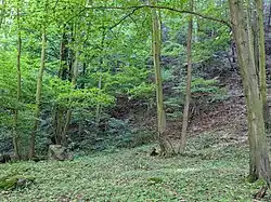 západní část chráněného území