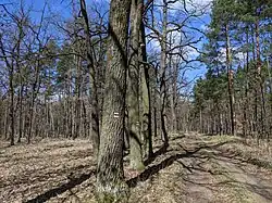 část chráněného území při Cestě TGM