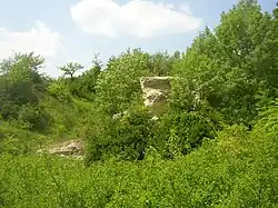 celkový pohled na NPP Kaňk