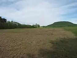 Část památky, kde se provádí ochranářský zásah odstraňování drnu na písek