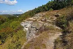 Jihozápadní skalnaté svahy Radouče