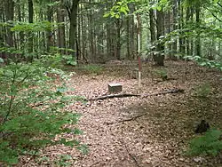 Vrchol Žákovy hory s geodetickým bodem