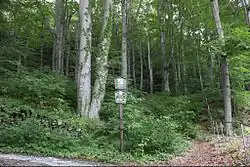 přístupová cesta ke vchodu do jeskyně