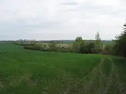 Pole na místě bývalé přírodní rezervace