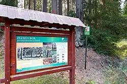 Pluhův bor v místě u Pramenské potoka