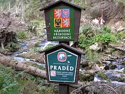 Petrovy kameny a vrchol Pradědu, jádro NPR Praděd