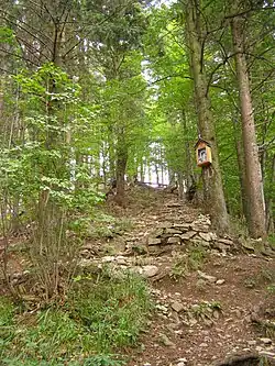 Výstup ke zřícenině hradu Starhrad po červené turistické značce (součást NPR).