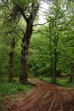 Cesta národním parkem NP Fruška gora Poloha národního parku Fruška gora