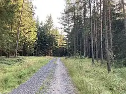 Východní začátek stezky