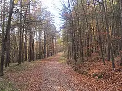 Typická pasáž stezky na podzim