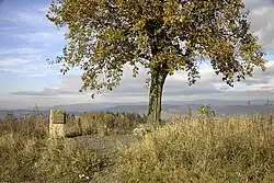 Pamětní deska Richarda Felgenhauera