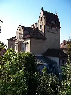 Vosmíkova vila (2013)