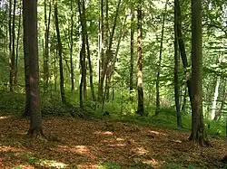 Přírodní rezervace Na hranicích