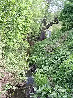 Slatinský potok v kolonii Na Slatinách.