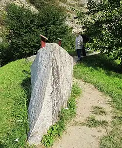 Žula z okolí Žulové v Jeseníkách