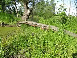 Přírodní památka Na letišti