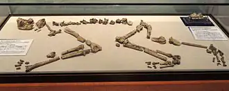 alternativní popis obrázku chybí