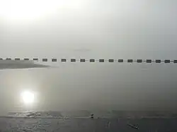 Little Bird, Tokyo Bay; 2019