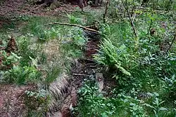 V místě u Otročínské kyselky