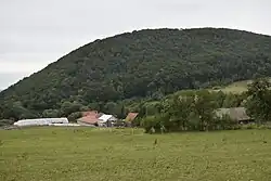 Nagórnik pod kopcem Mlynarka