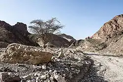 Nachal Šlomo a okolní krajina